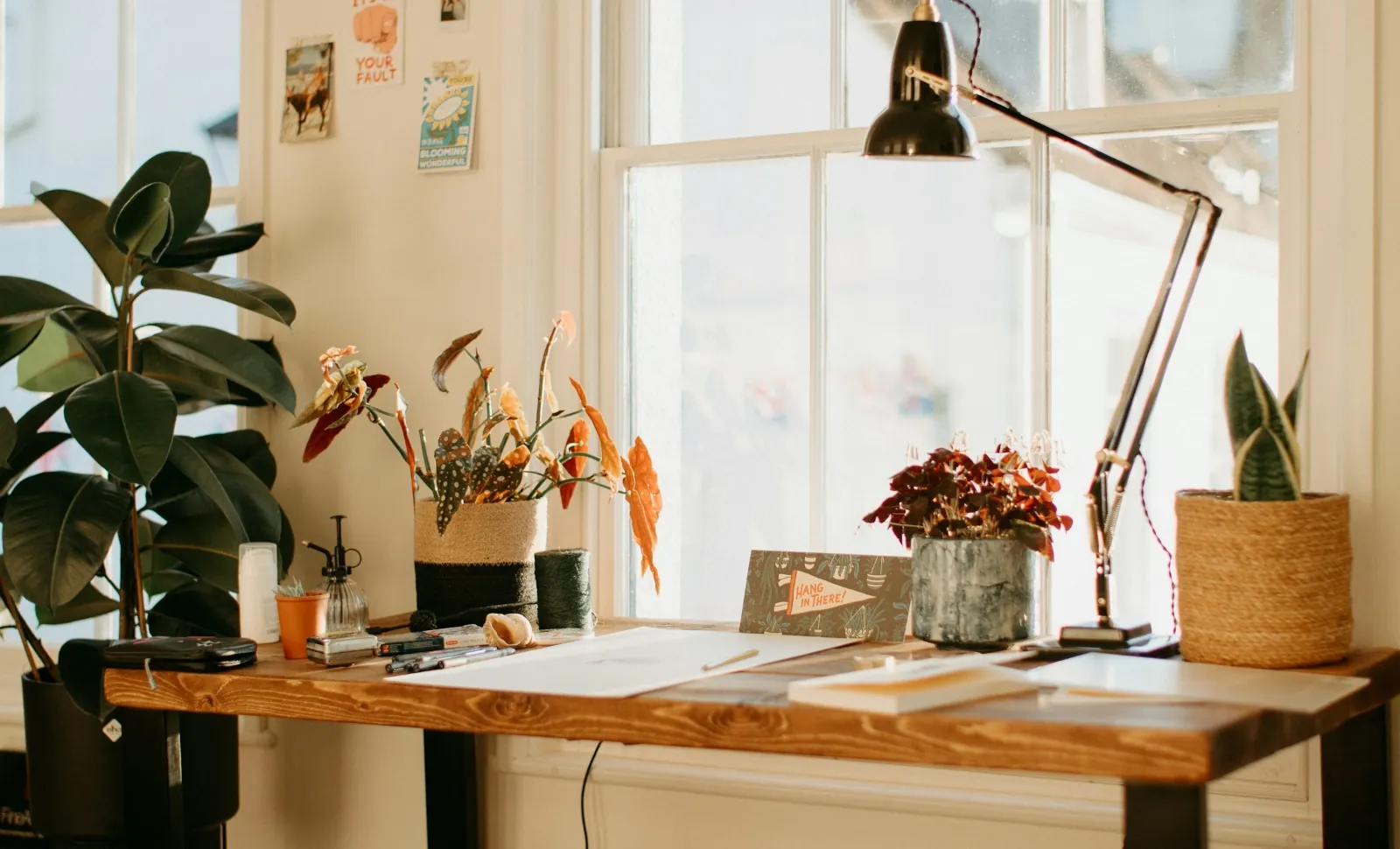 A sunlit desk by a window, set up with plants, a lamp and a notebook.
